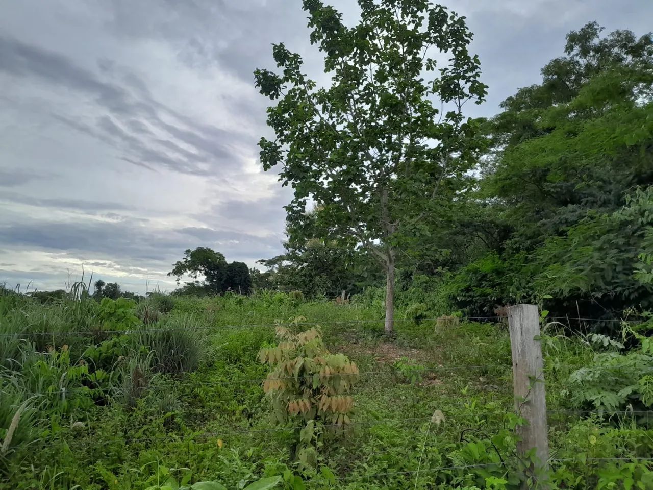 foto - Cuiabá - Jardim Florianópolis