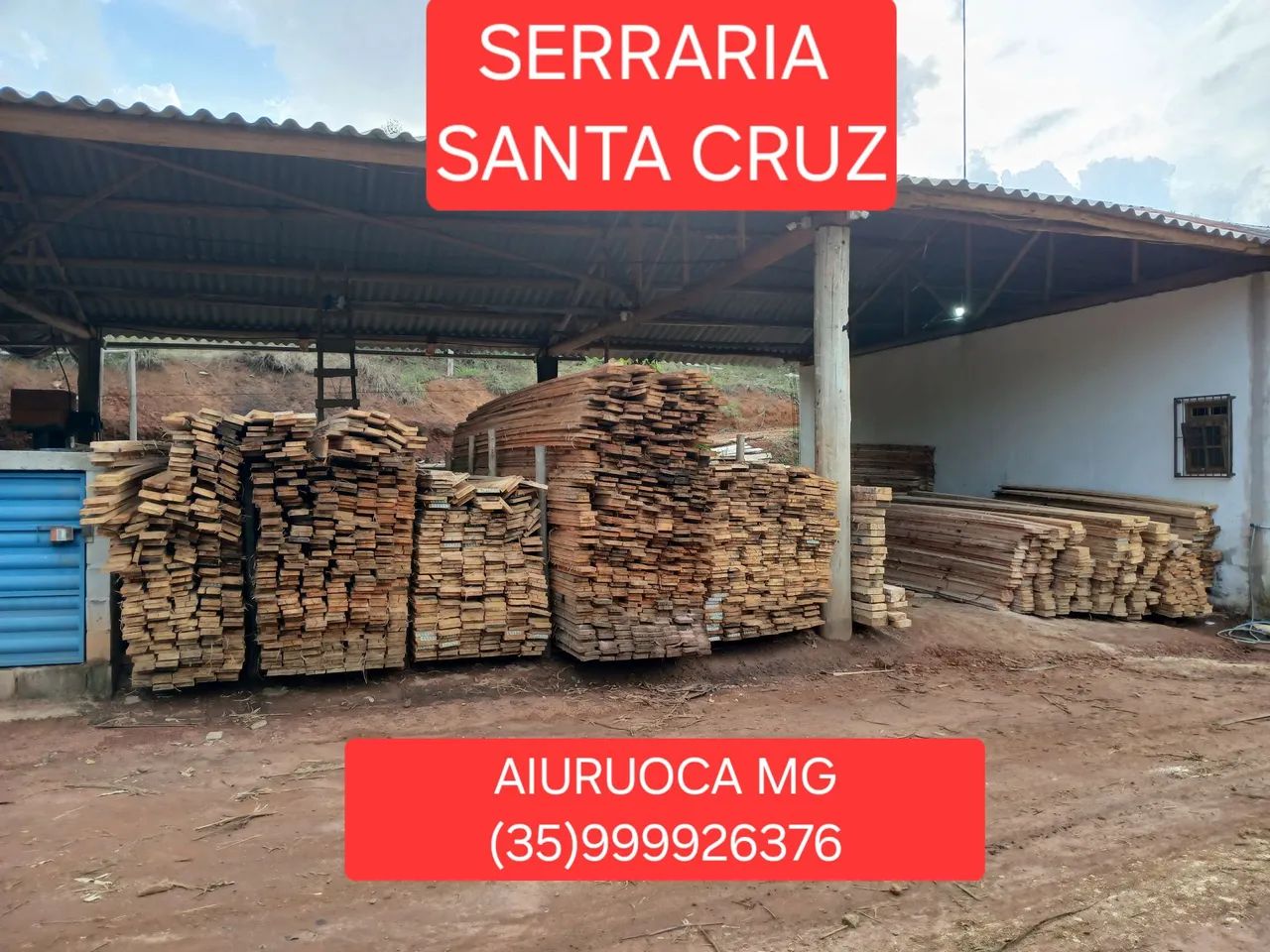 Madeira de eucalipto 