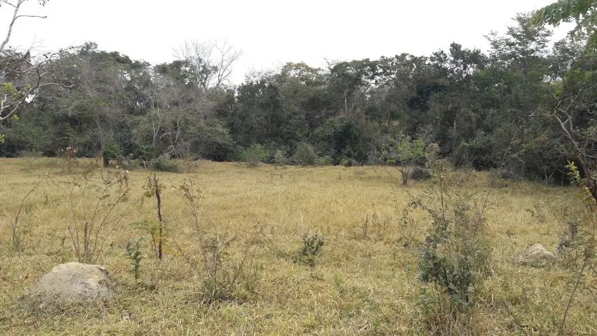 Chácara 1530m², Córrego Rio Dourados, Energia, Plana, 25km Term.Garavelo, Aragoiânia. - Foto 4