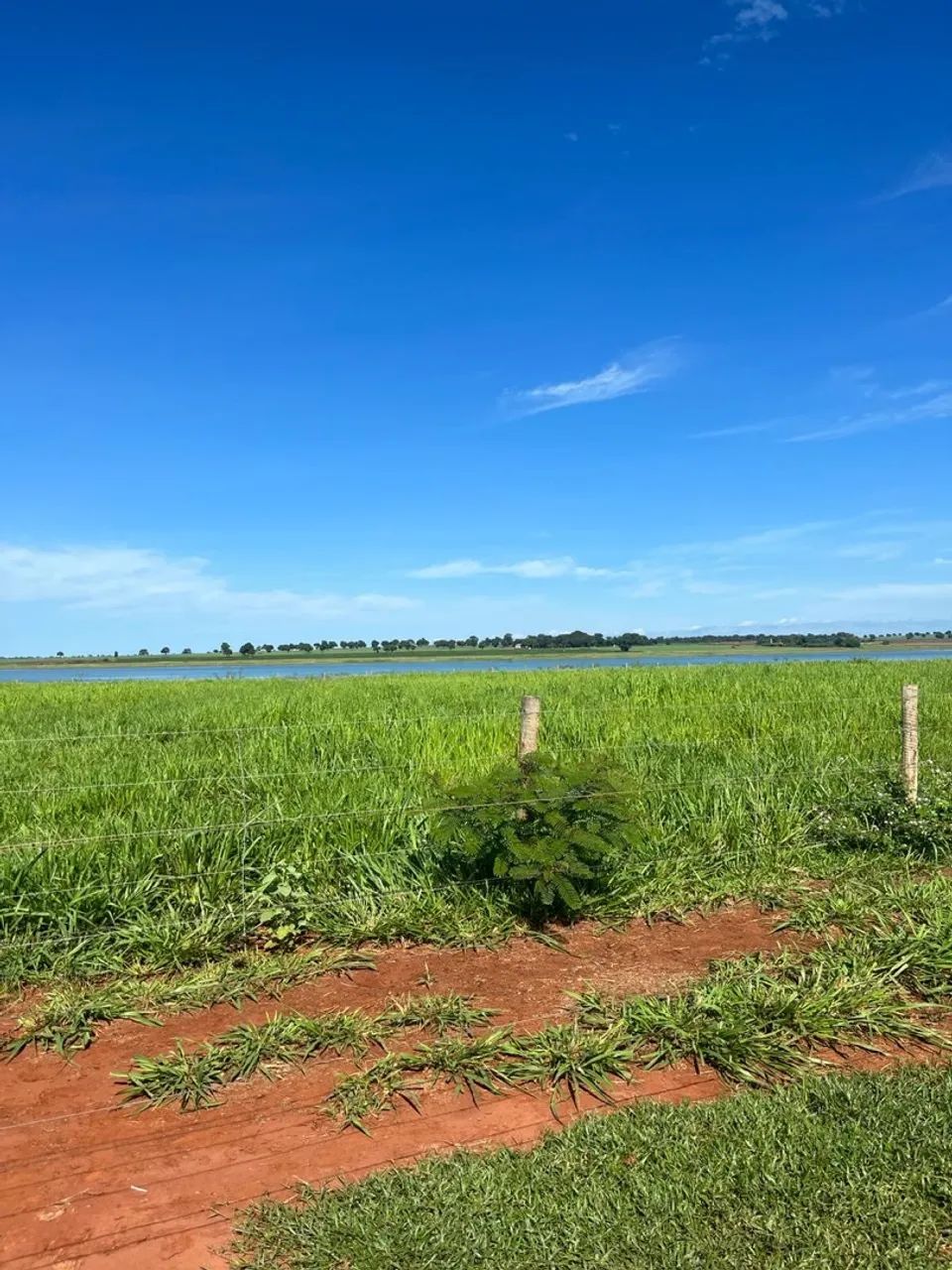 Excelente fazenda no Goiás  - Foto 5