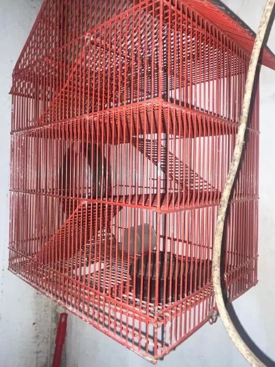 Gaiola para animais pequenos - Foto 3