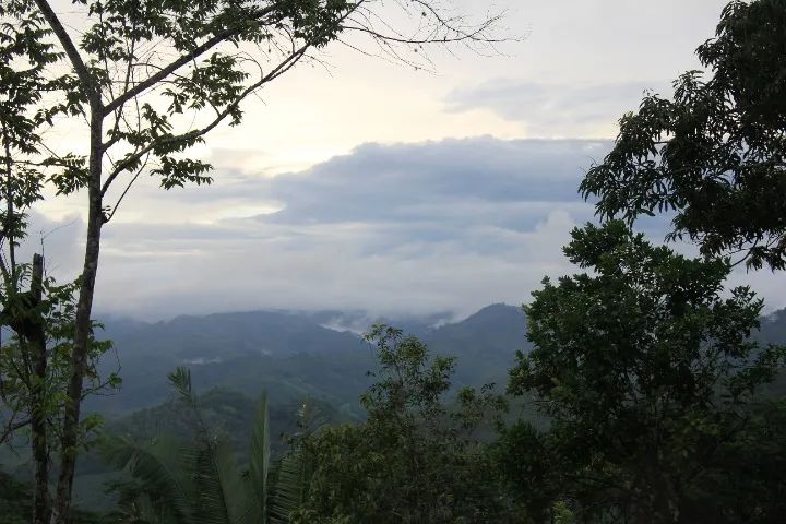 TERRENO COM FANTÁSTICA VISTA EM MULUNGU - SERRA DE GUARAMIRANGA - Foto 3
