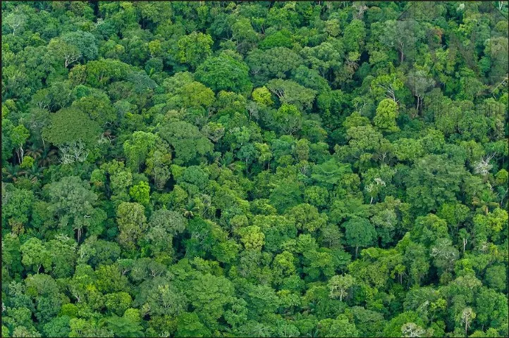 IMÓVEL RURAL NO ACRE 5.483,5367 hectare. Ideal para compensação de área ambiental.