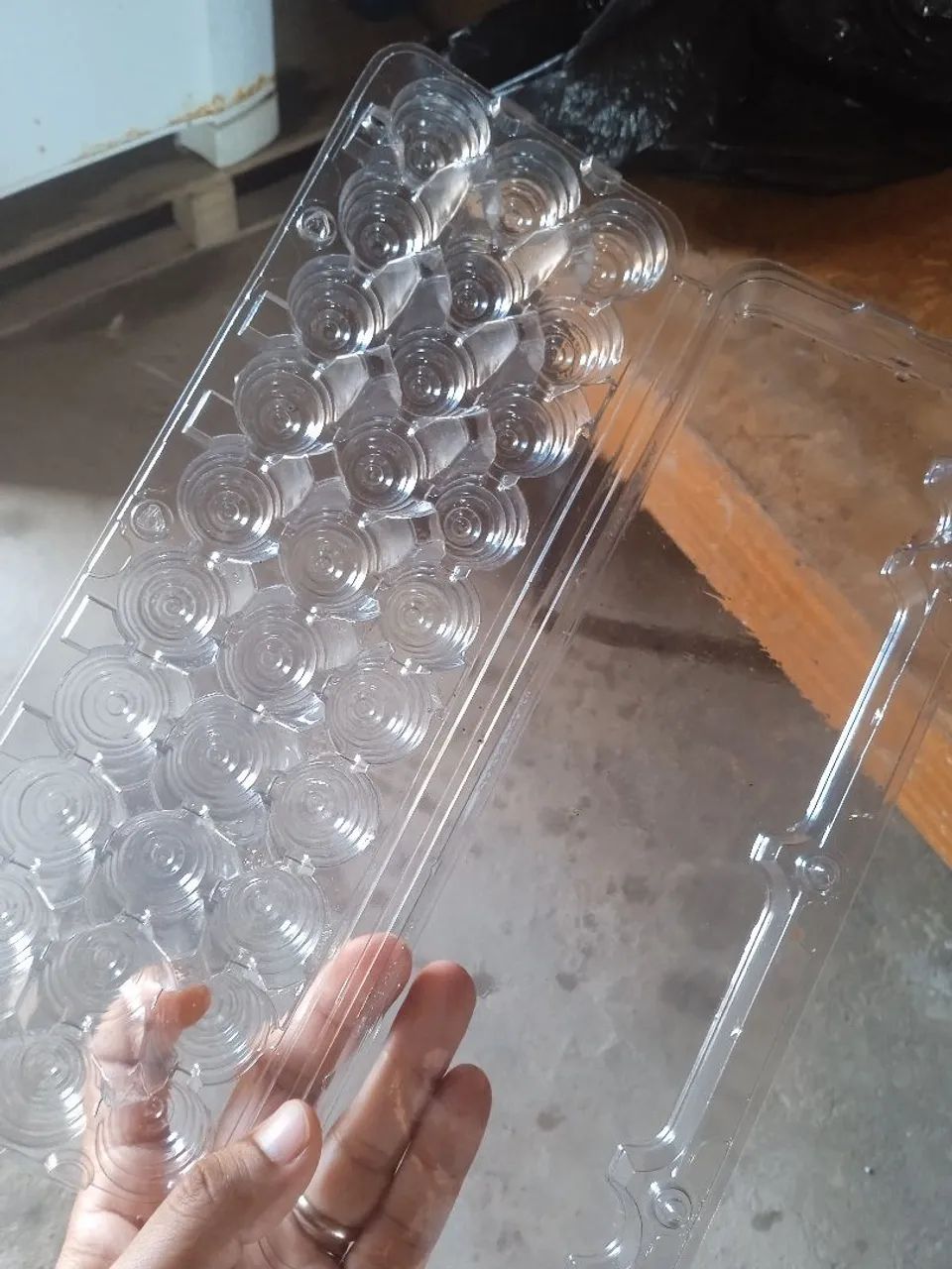 Cartelas para Ovos de Codorna  - Foto 3