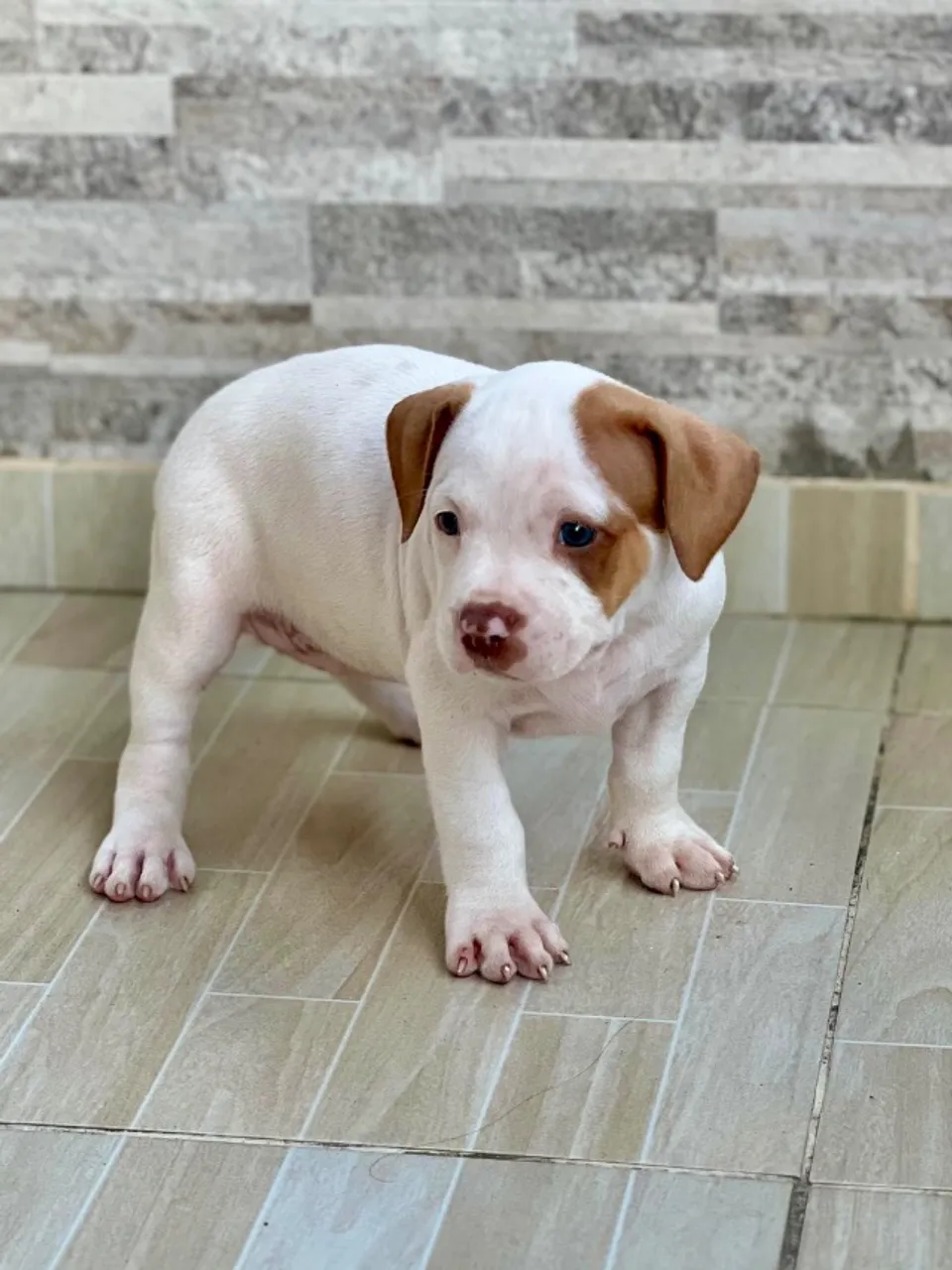 Pit monster
