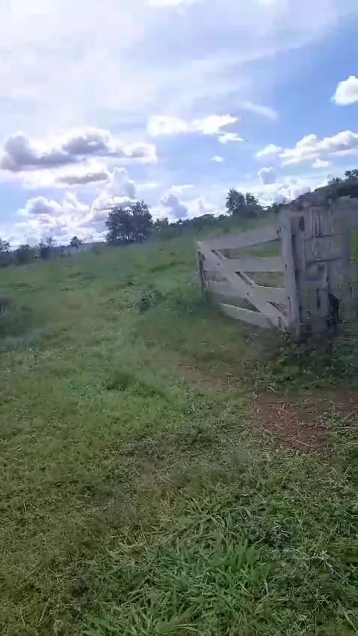 Fazenda em Juara - 100 hectares - Excelente Forma - Foto 3