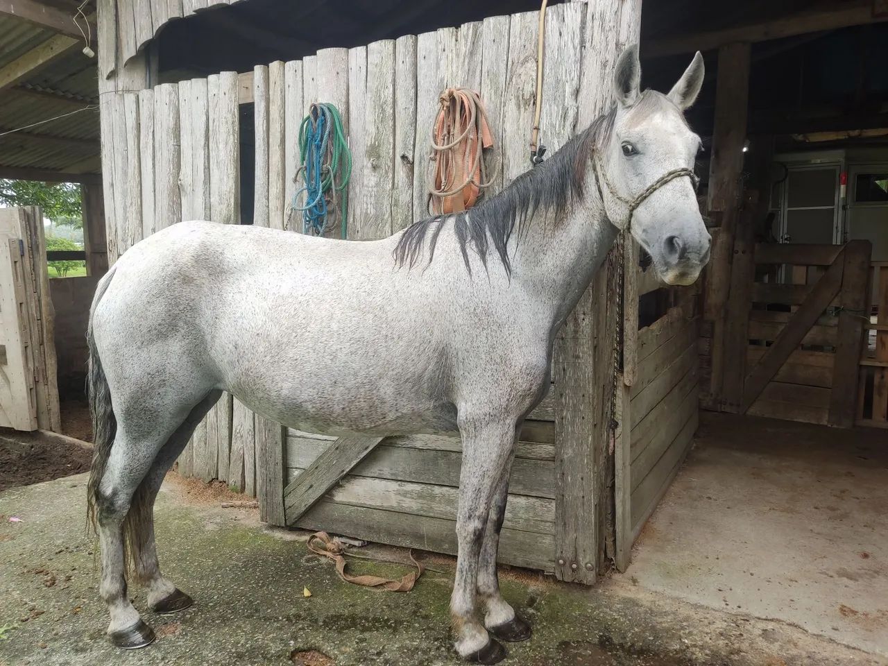 MARCHA PICADA!!! - Foto 2