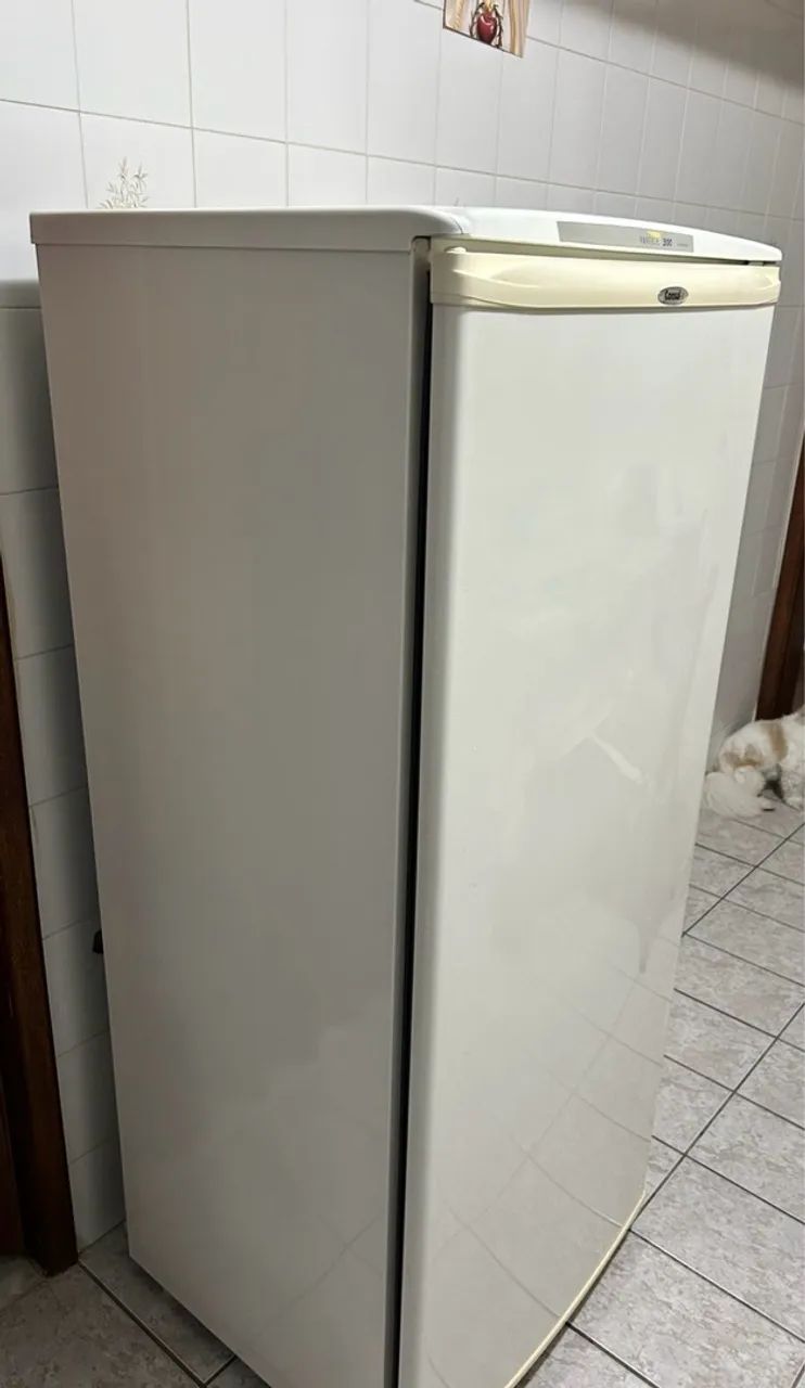 Geladeira Consul Pratice 300