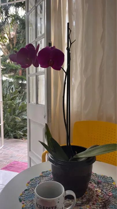 Foto - Florianópolis - Trindade