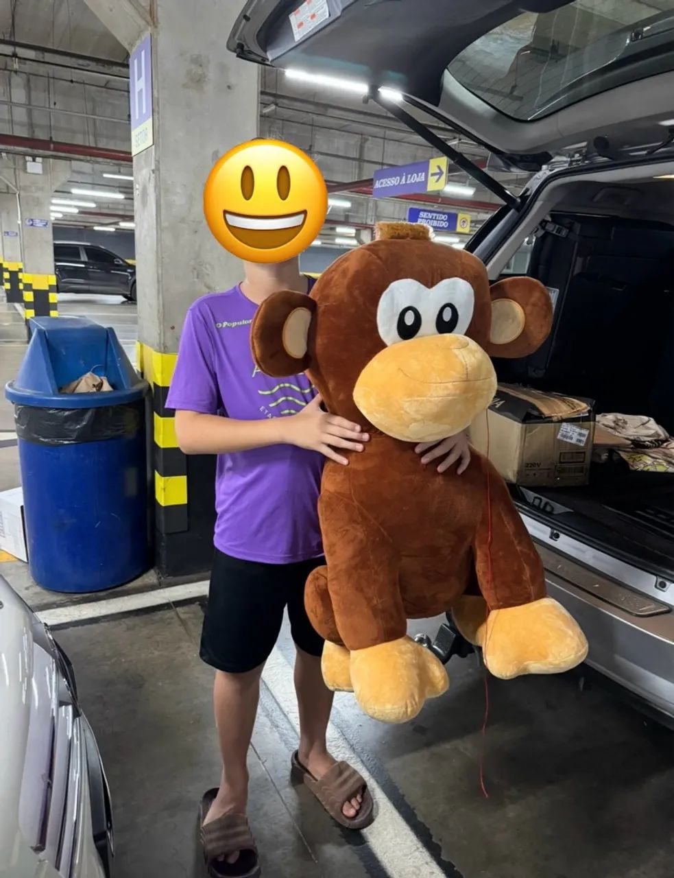Macaco de pelúcia gigante