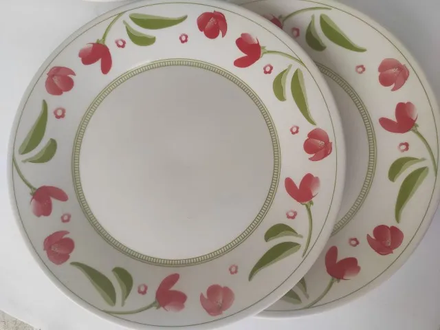 Pratos decorados rasos