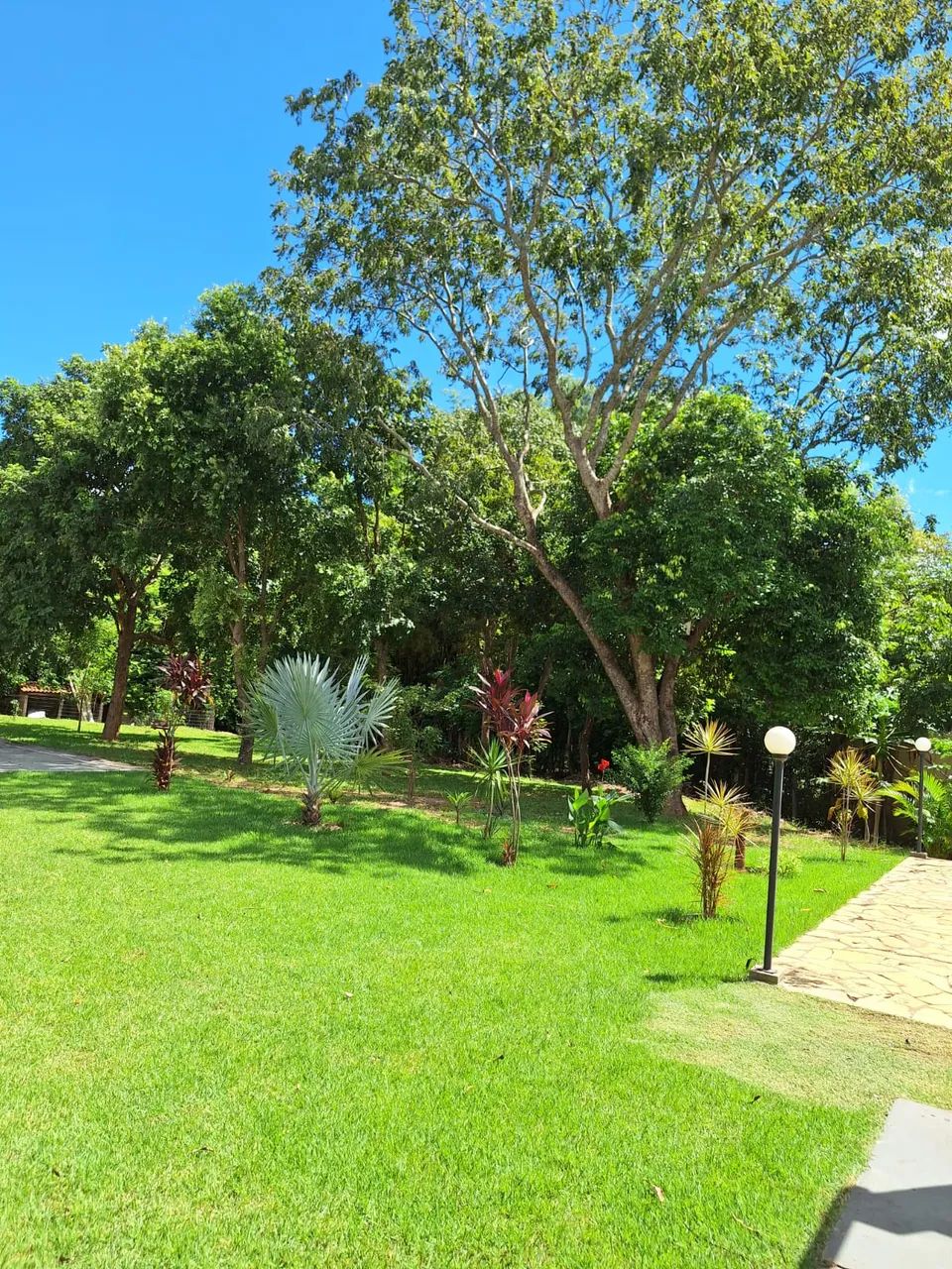 Sobrado condomínio de chácaras Flor do Cerrado. 5 suítes. - Foto 4