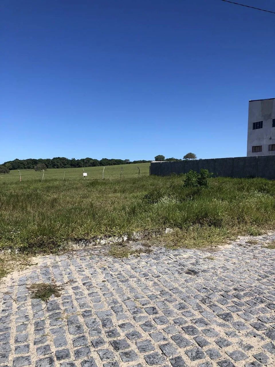 Pipa Boulevard - loteamento com calçamento , iluminação pública, esgoto! - Foto 3