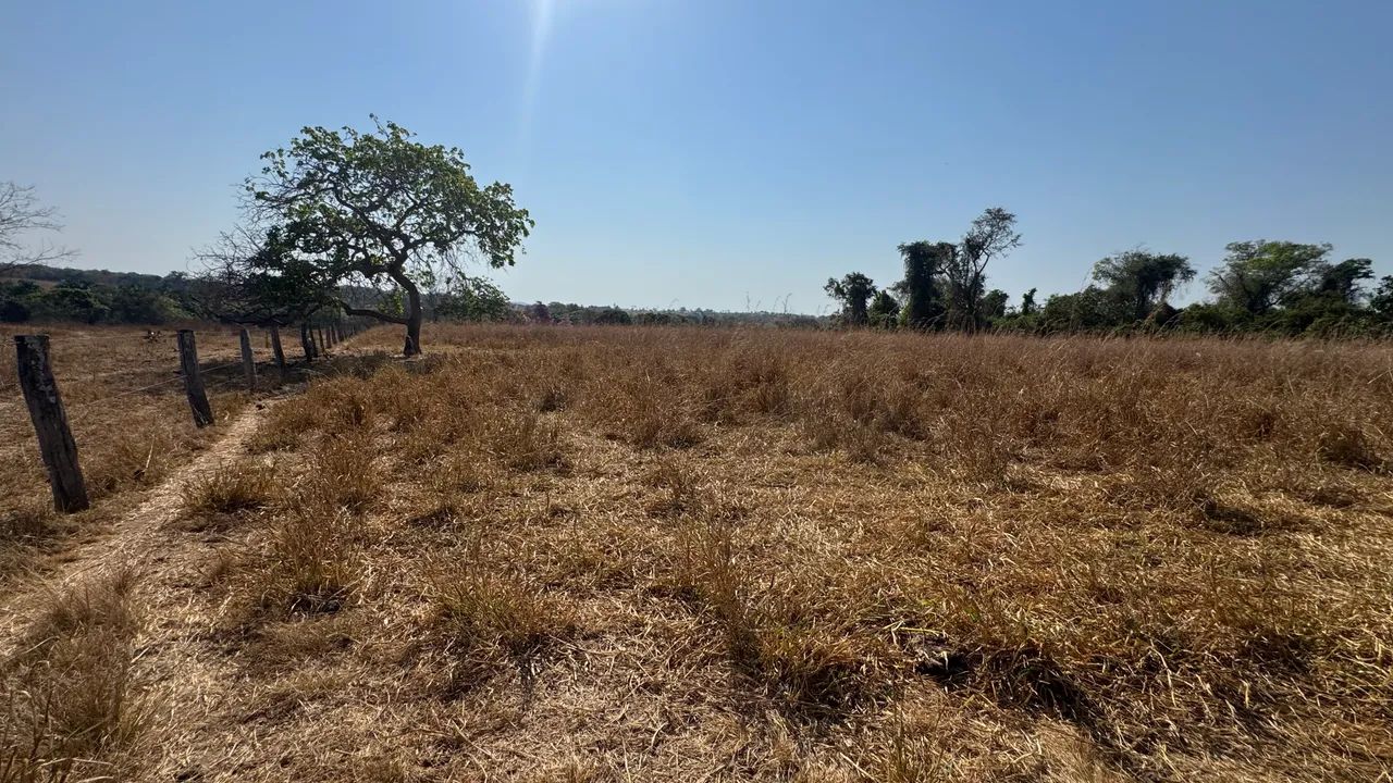 18 Alqueires em novo Brasil GO - Foto 3