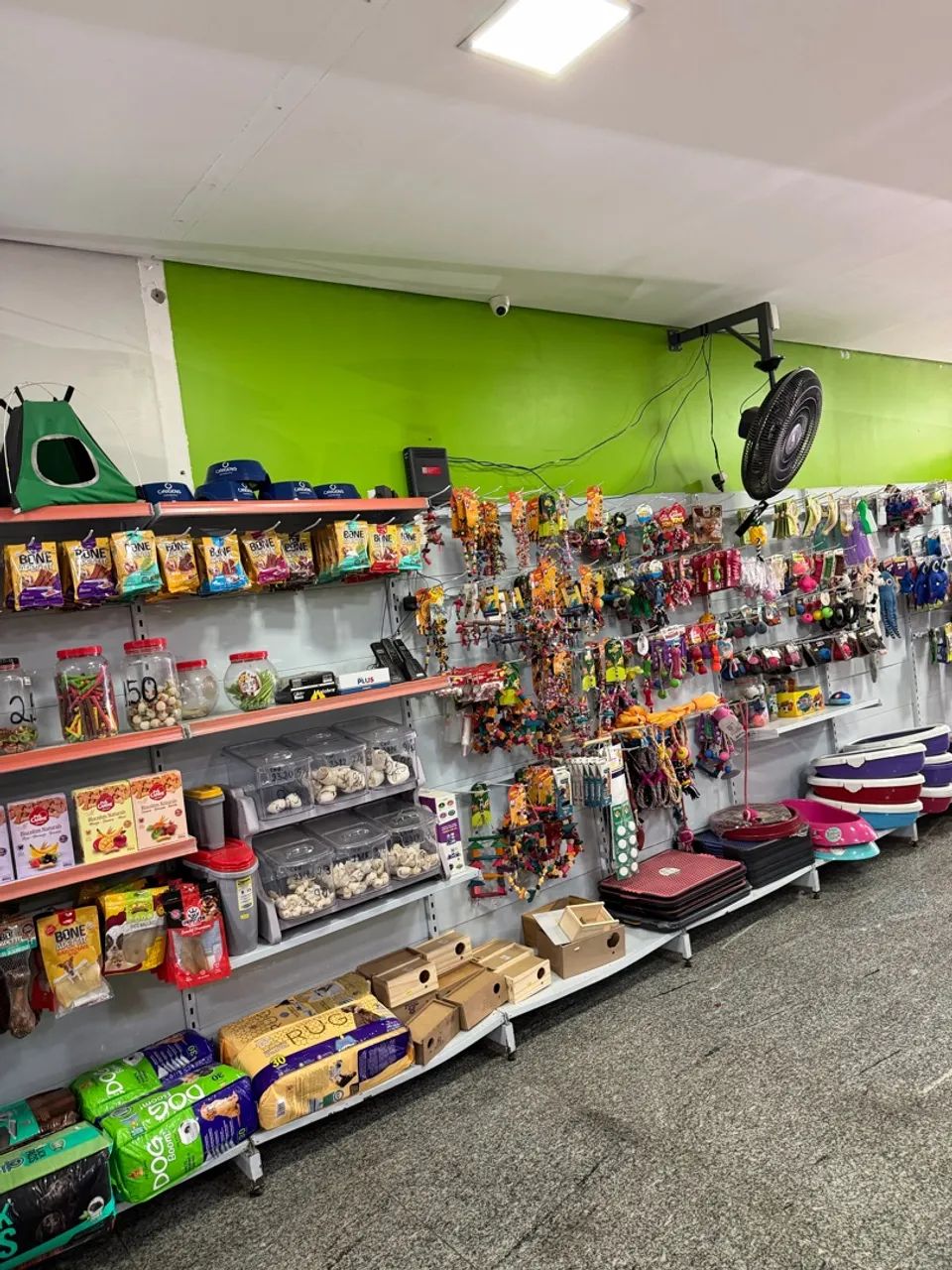 Petshop mais bonito do riacho fundo 2 - Foto 3
