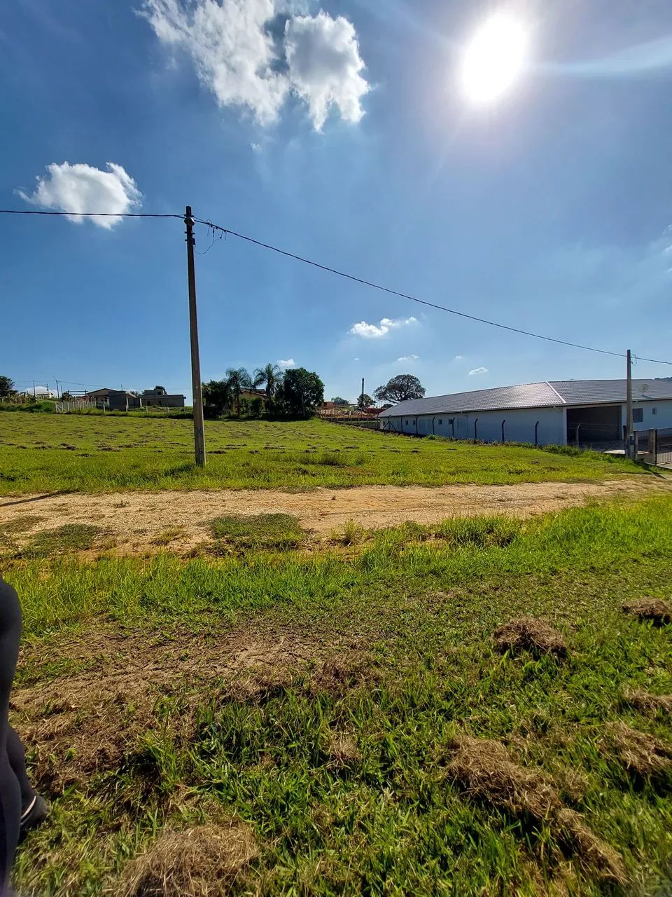 Foto - São Bernardo do Campo - Jardim Petroni