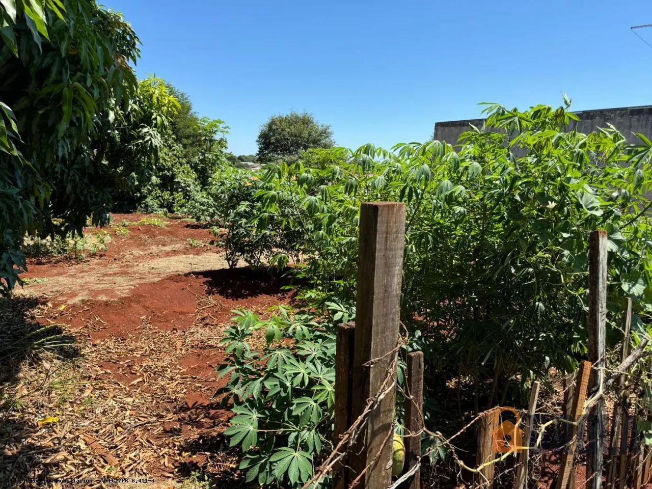 Terreno para Venda em Ubiratã, Centro - Foto 4