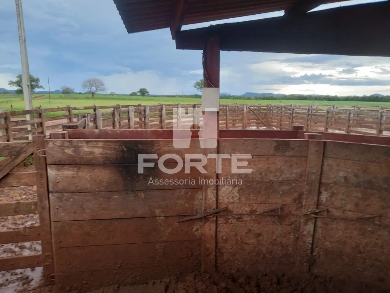 Fazenda a venda em Goiatins no Tocantins - Foto 3
