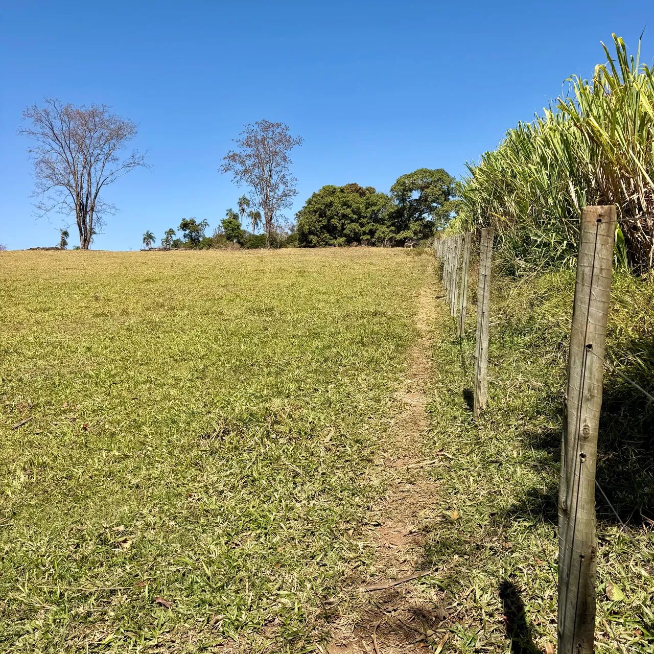 Chácaras com Córrego em Bonfinópolis-GO - Foto 2