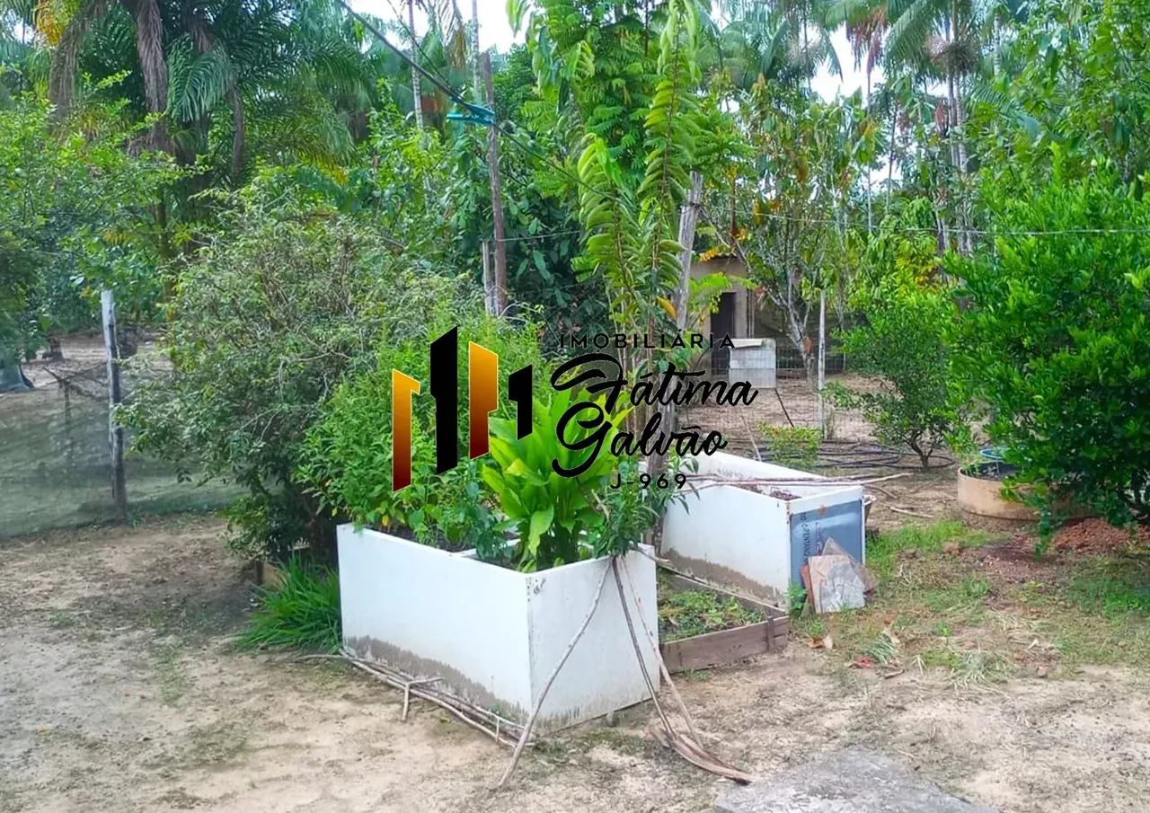 Vendo Sítio em Santo Antônio do Tauá, próximo a BR. - Foto 5