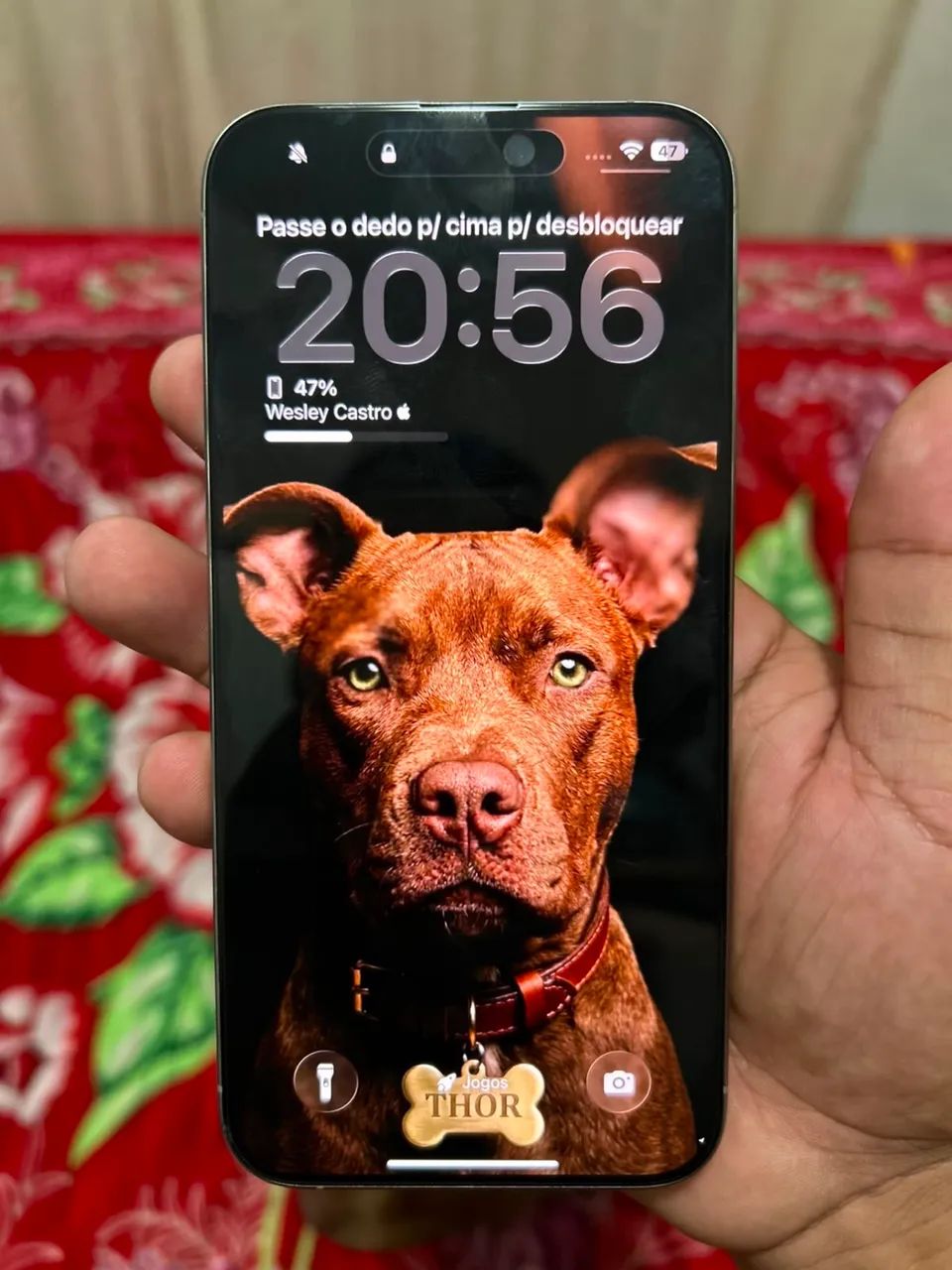 Iphone 15 pro max(256gb)