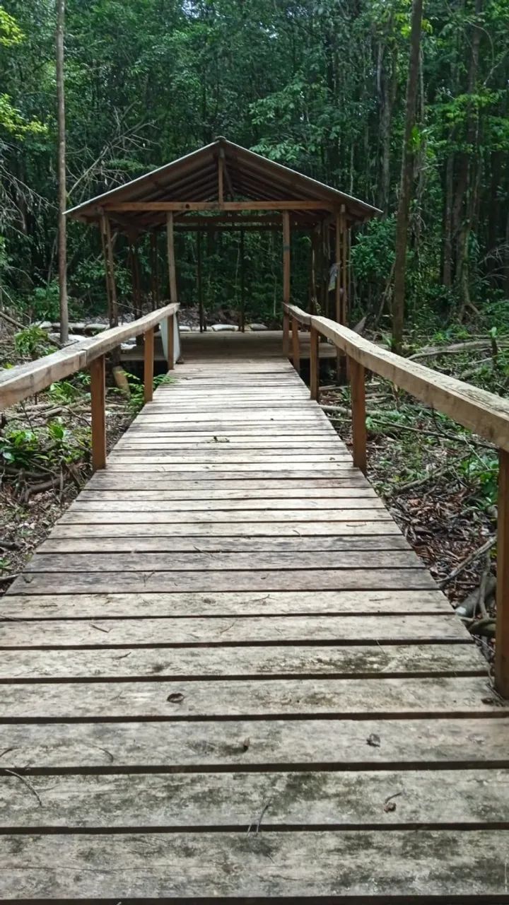 Vendo sitio 10.000 m2 com igarape