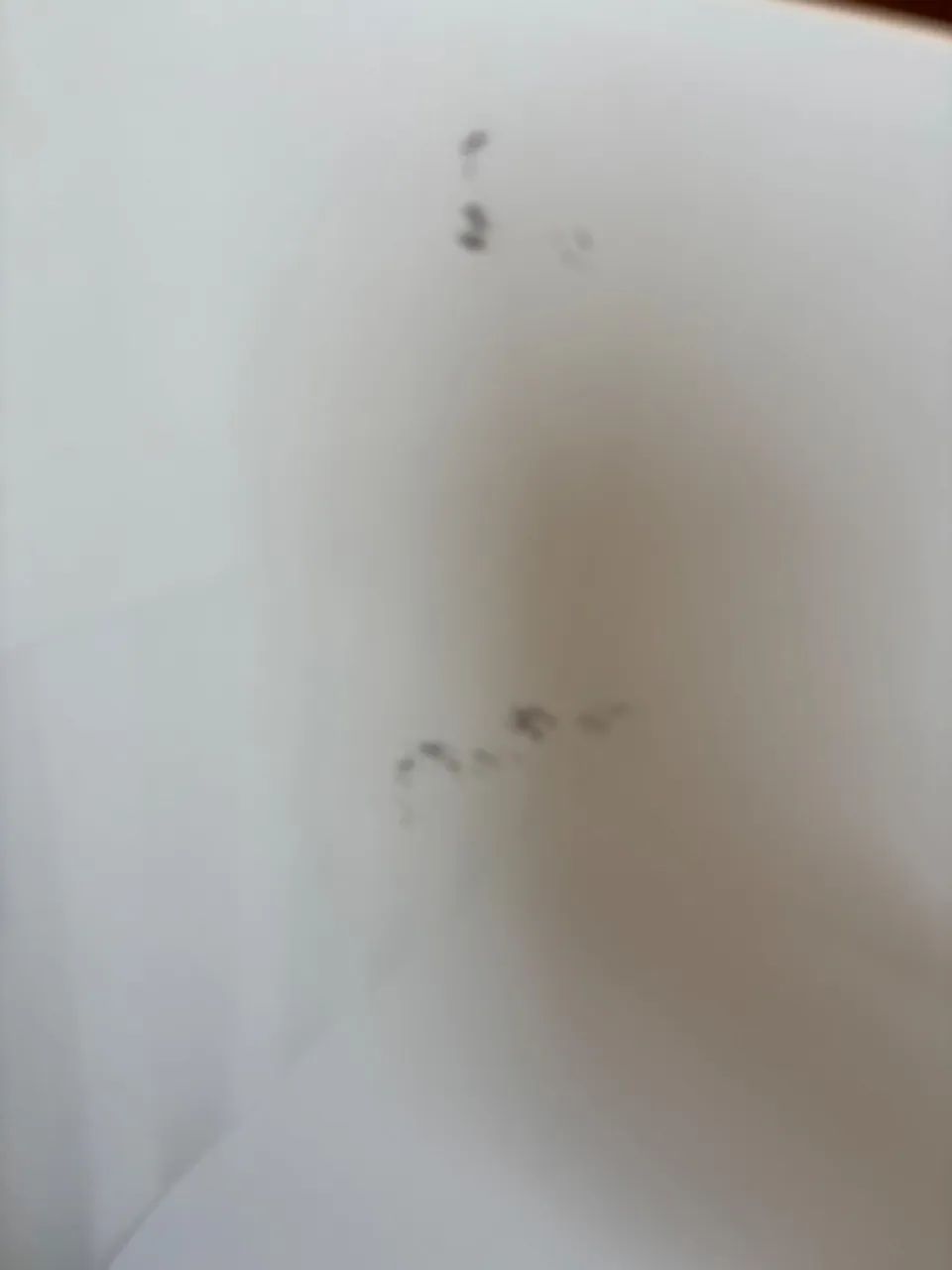 Berço  - Foto 2