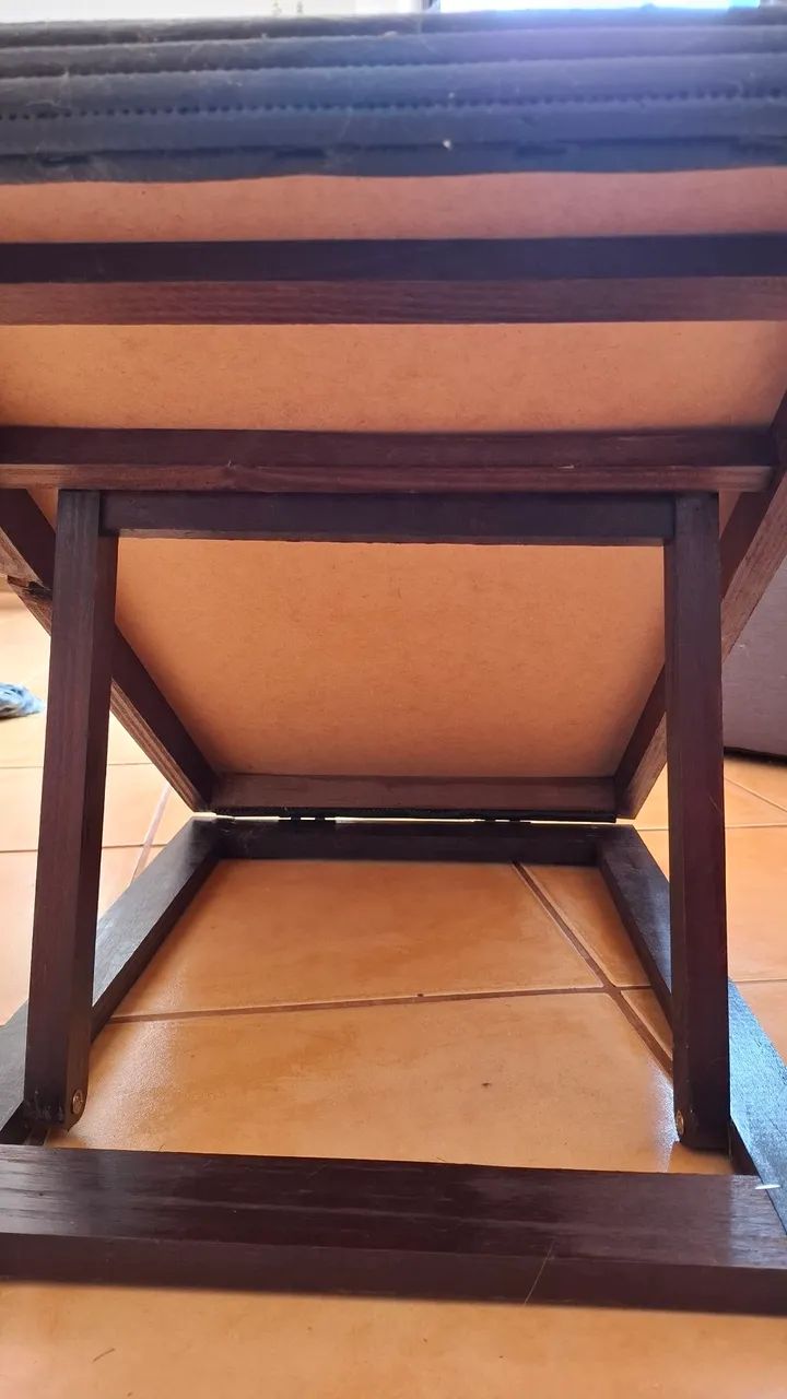 Rampa para pet - Foto 2
