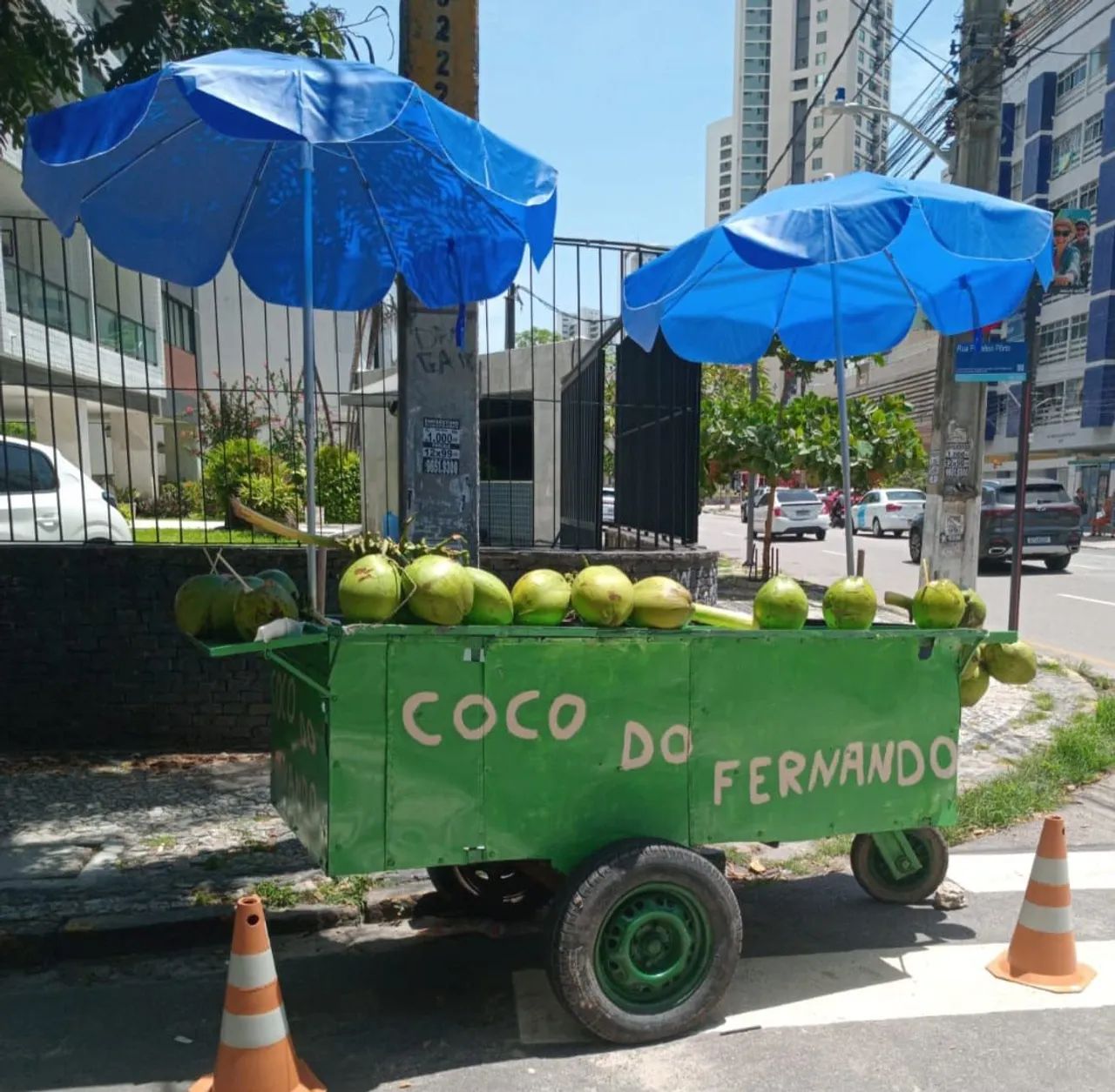 Carroça de côco completa 