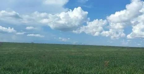 fazenda - Centro - Baianópolis - Foto 4