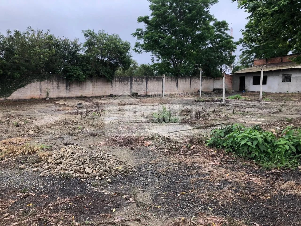 TERRENO À VENDA EM UVARANAS - Foto 5