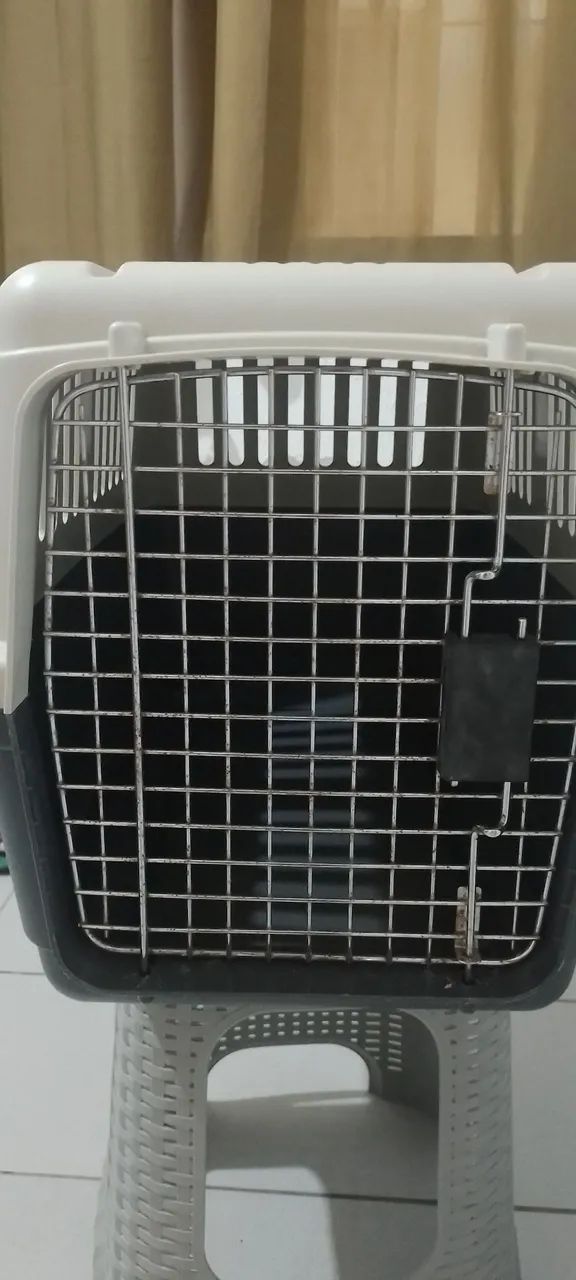 Caixa Transporte Pet