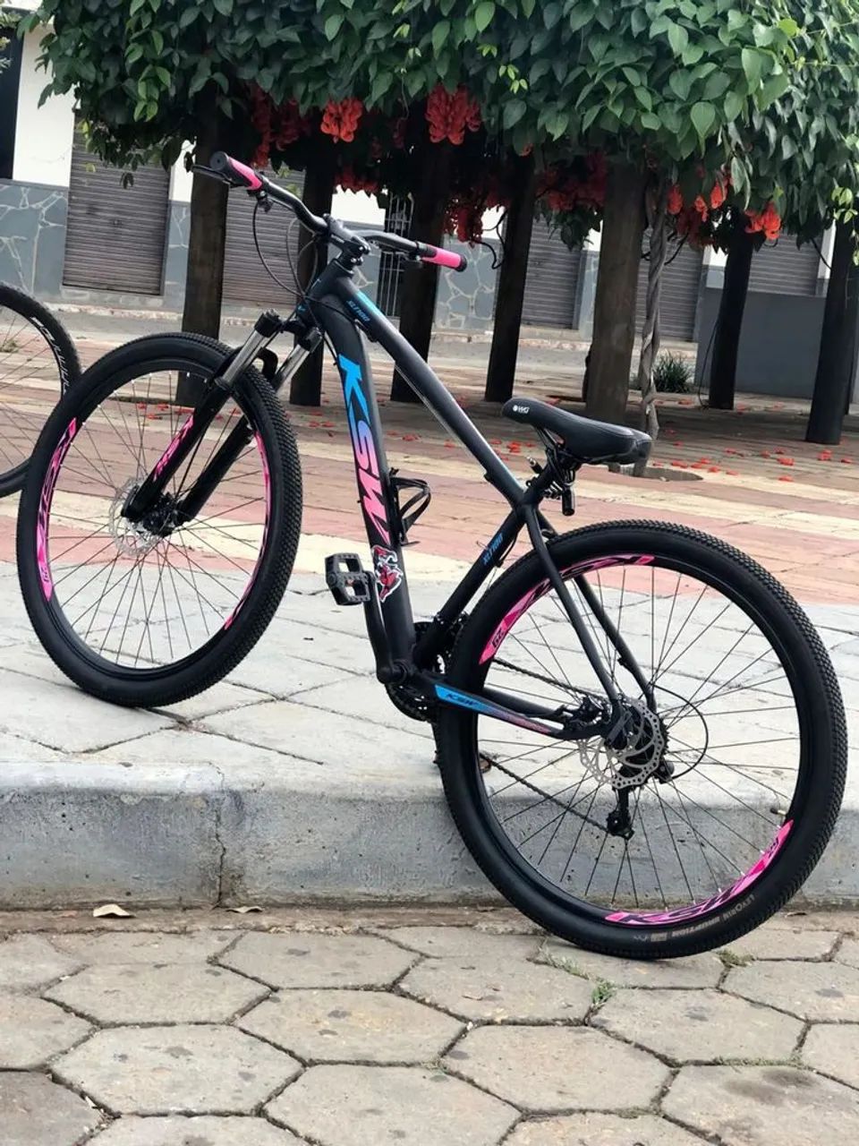 Bicicleta aro 29 
