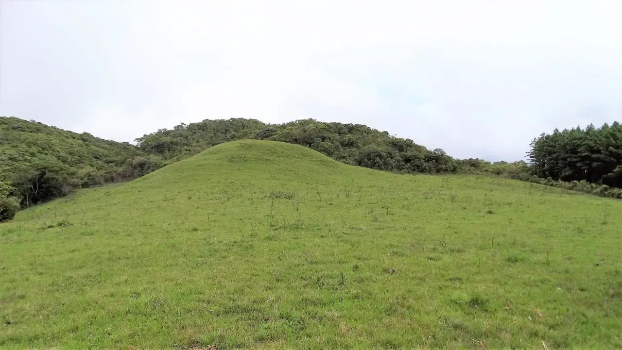 Portal da Boa Vista- Serra Catarinense - Foto 4