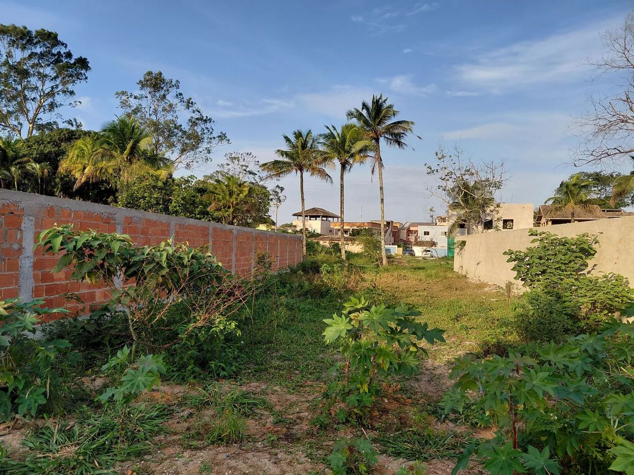 Terreno  - Foto 2