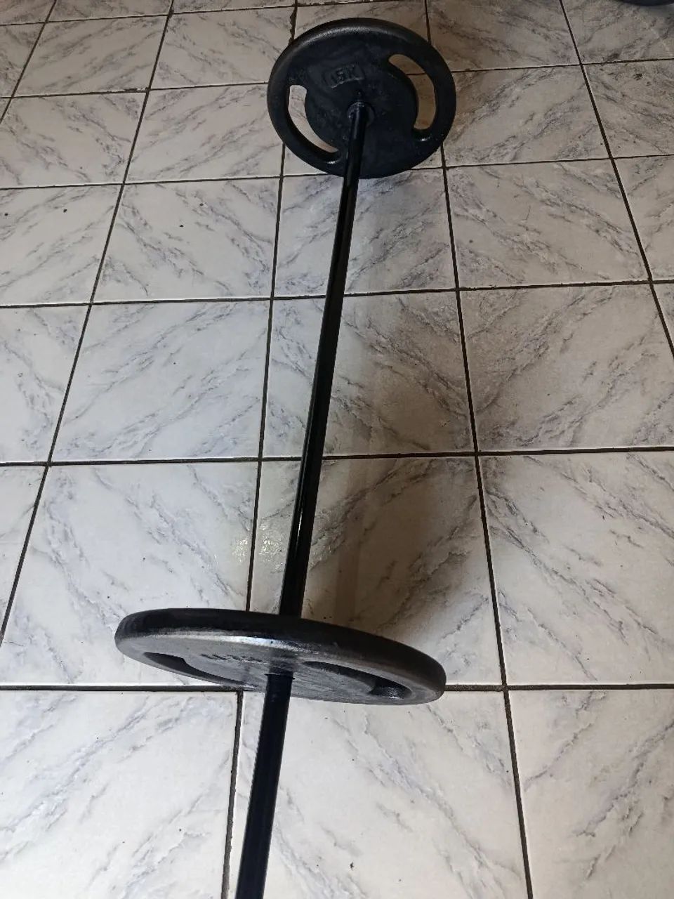 Barra com duas anilhas de 15 kilos 