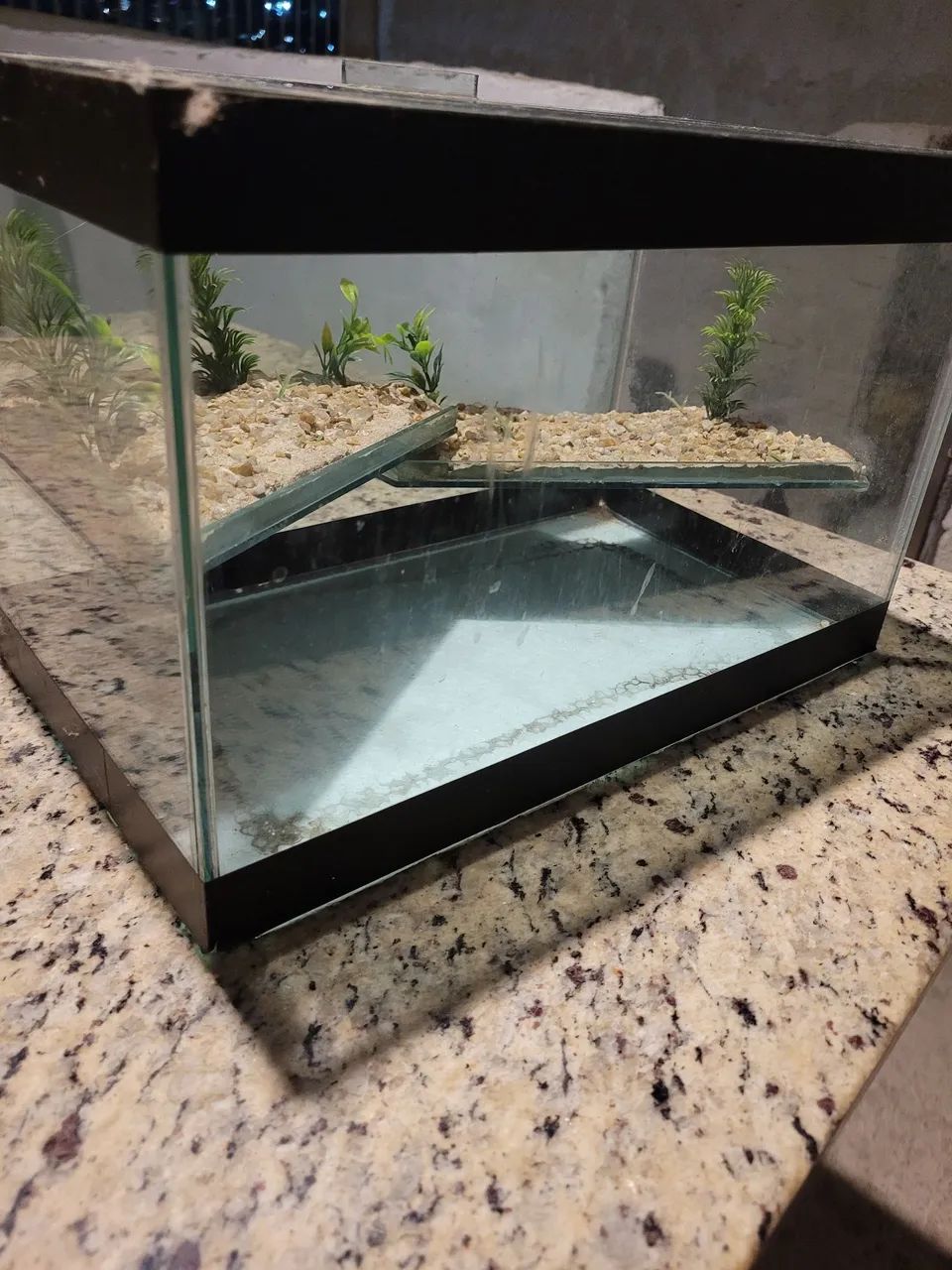 Aquaterrário para tartarugas