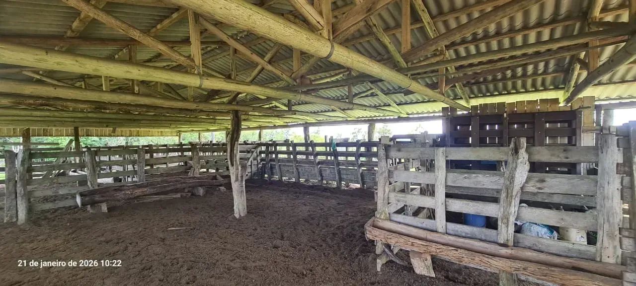 Fazenda em Alfredo Wagner- 113 ha -Serra Catarinense - Foto 5