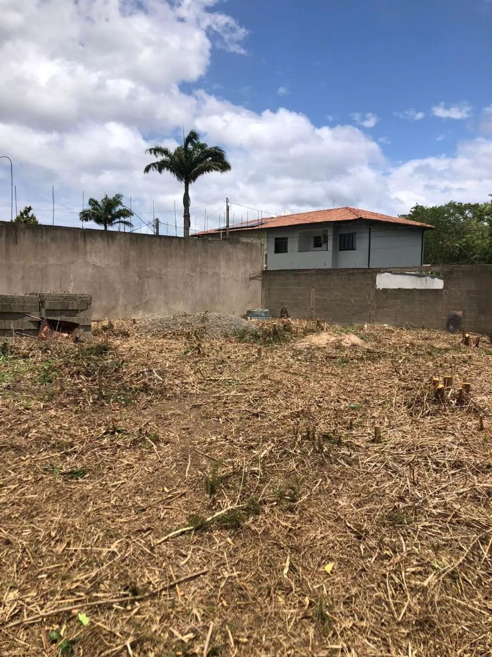 Aluga-se terreno sem benfeitorias - Foto 3