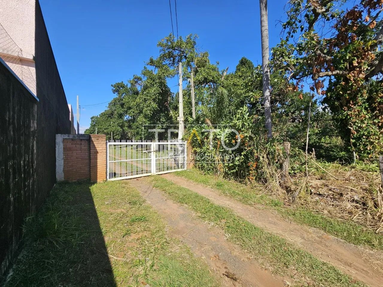 área - Barão Geraldo - Campinas - Foto 4