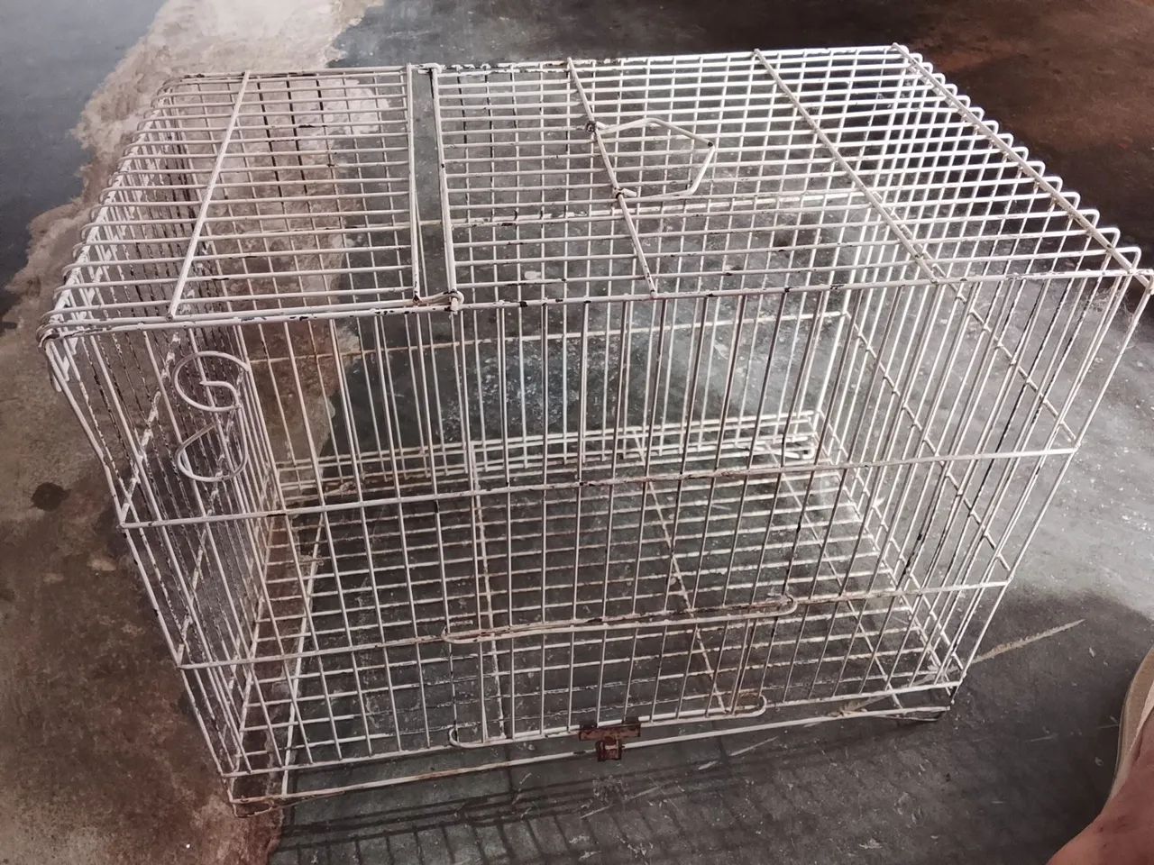 Gaiola de ferro em ótimo estado de conservação  - Foto 2