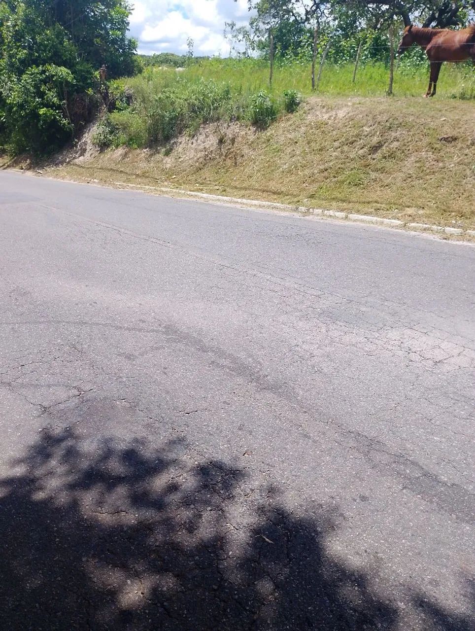 Foto - Dias DÁvila - 
