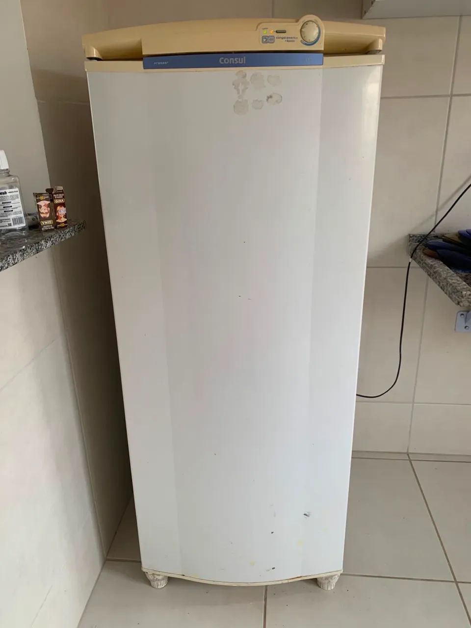 Freezer vertical 