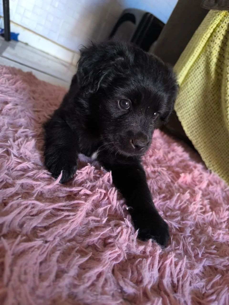 Vende se  - Foto 3