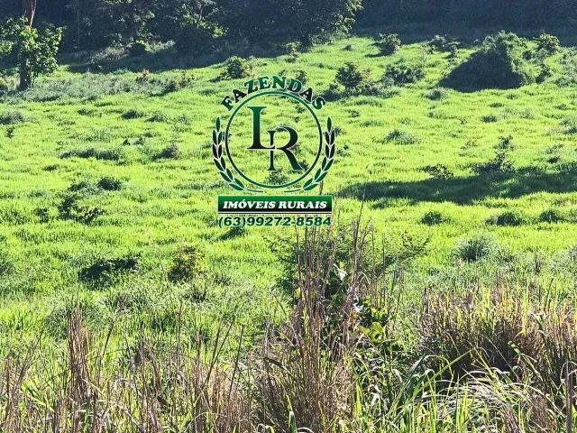 Fazenda-Chácara 13 Alqueires Próximo Paraiso - Foto 2