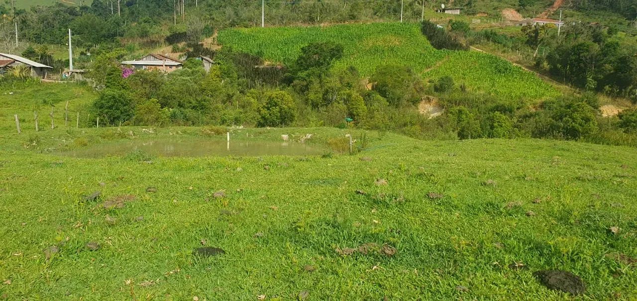 Sitio com escritura em Águas Mornas - SC - Foto 5