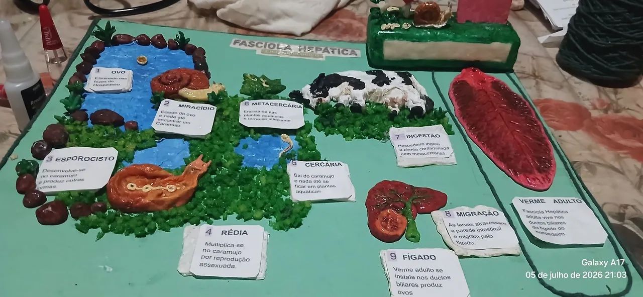 Artes em biskuit