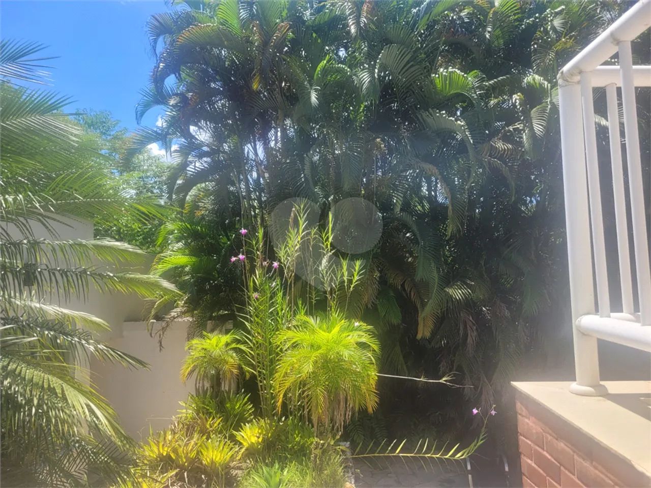 Terreno à venda em Costa do sol - SP - Foto 5