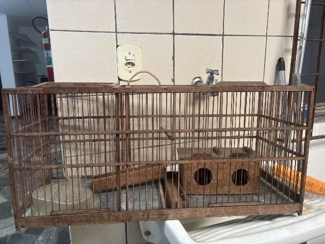 Gaiola / voador
