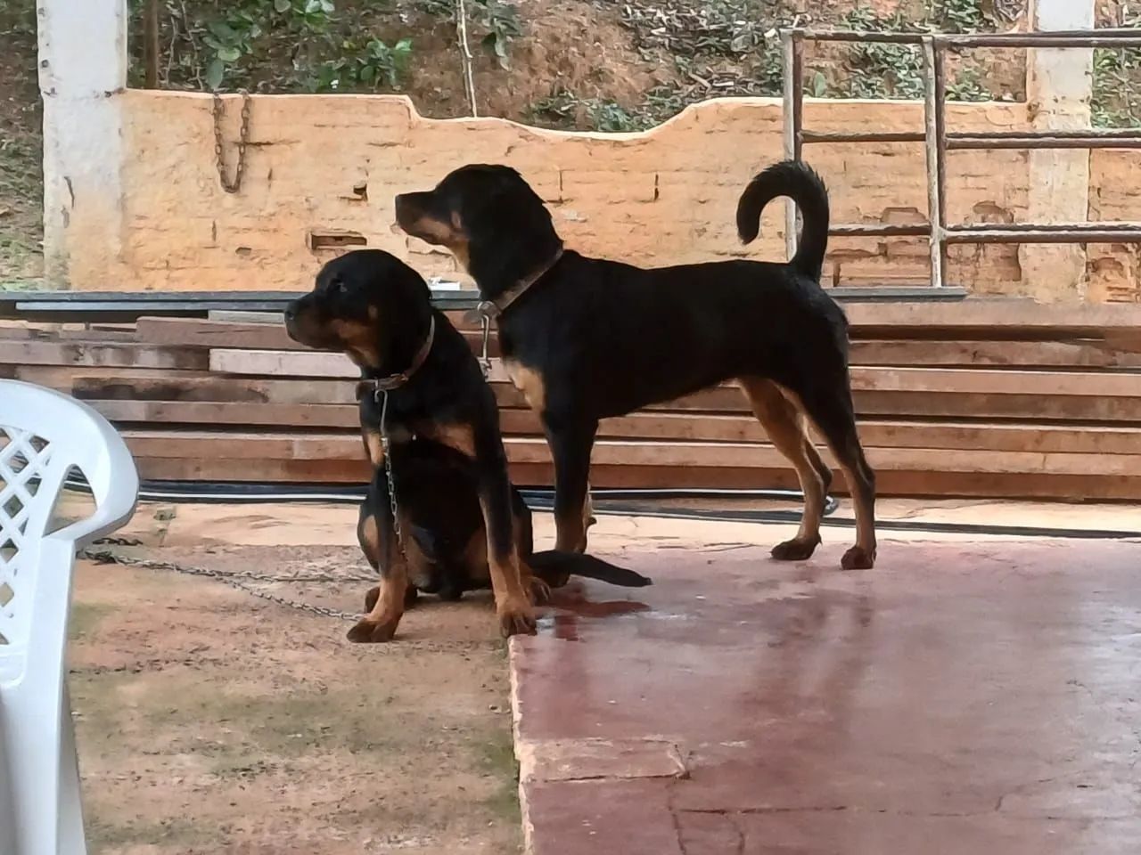 Vendo - Foto 3